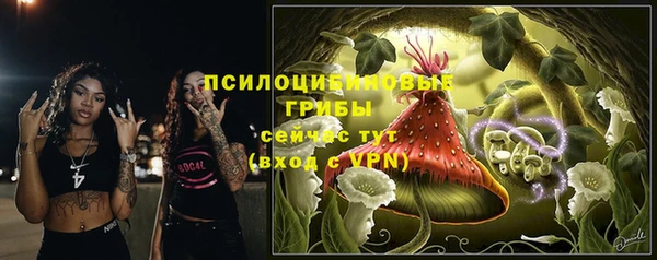 мдпв Зеленокумск